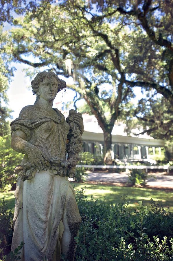Bed and Breakfast The Myrtles Saint Francisville Exteriér fotografie